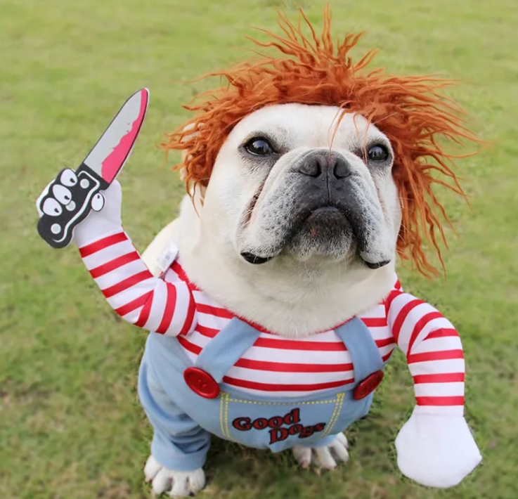 Disfraz de Halloween para Mascotas